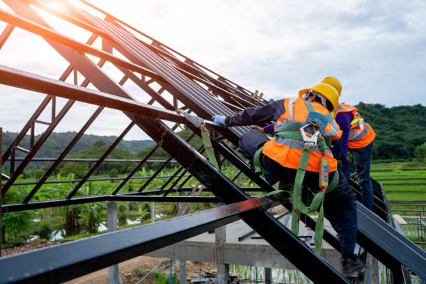 Best Roof Gutter Cleaning  in Vineyard, CA